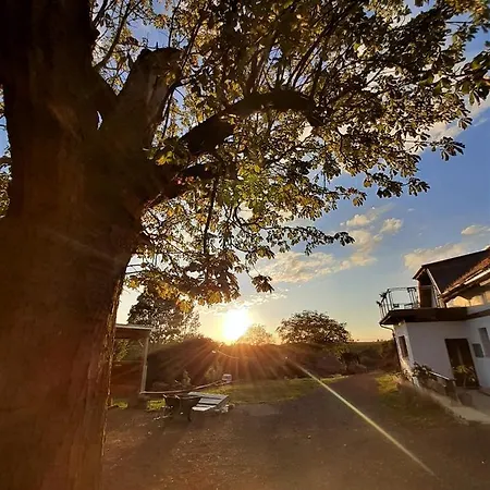 Cenovicky Dvur Vendégház Čestín