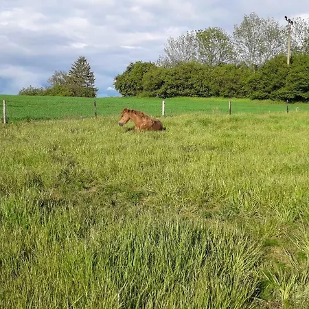 Vendégház Cenovicky Dvur *