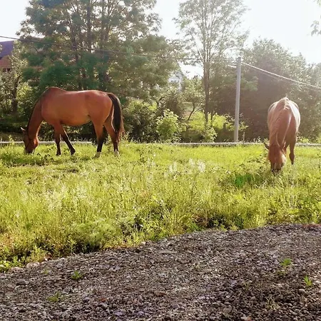 Cenovicky Dvur Vendégház *